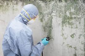 Best Mold Remediation for Healthcare Facilities  in Chevy Chase Village, MD